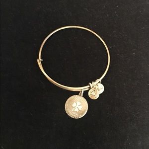 Alex and and silver good luck bracelet